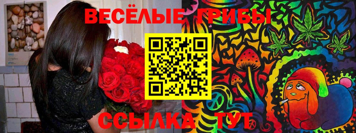 Псилоцибиновые грибы мицелий Северск